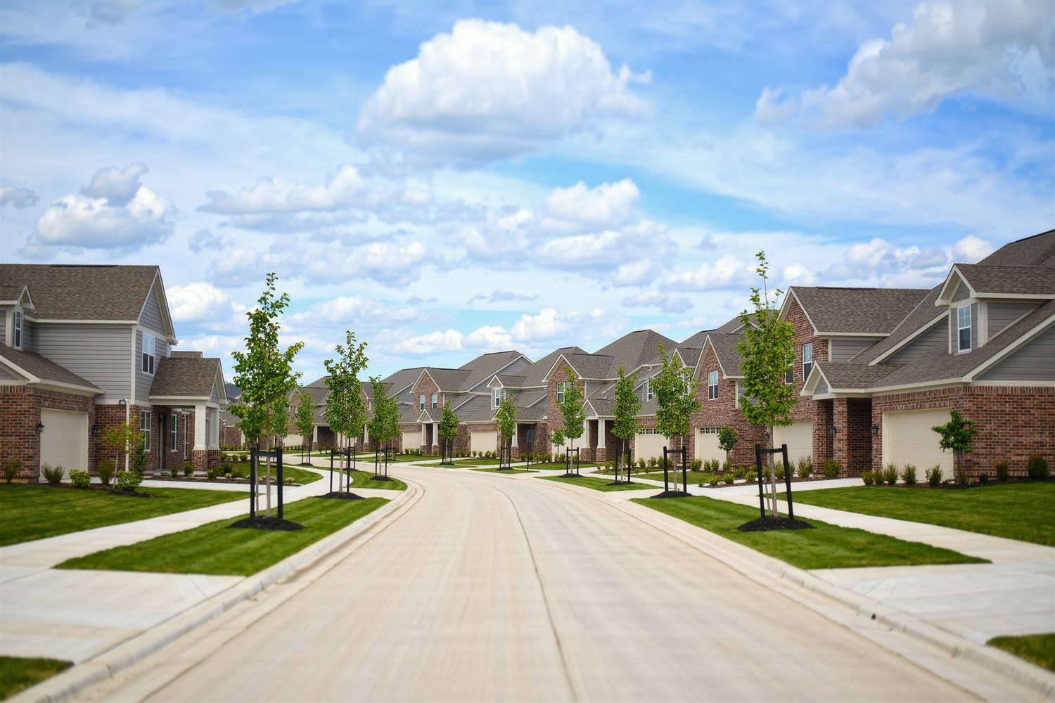 Street of new brick homes with young staked trees under a cloudy sky